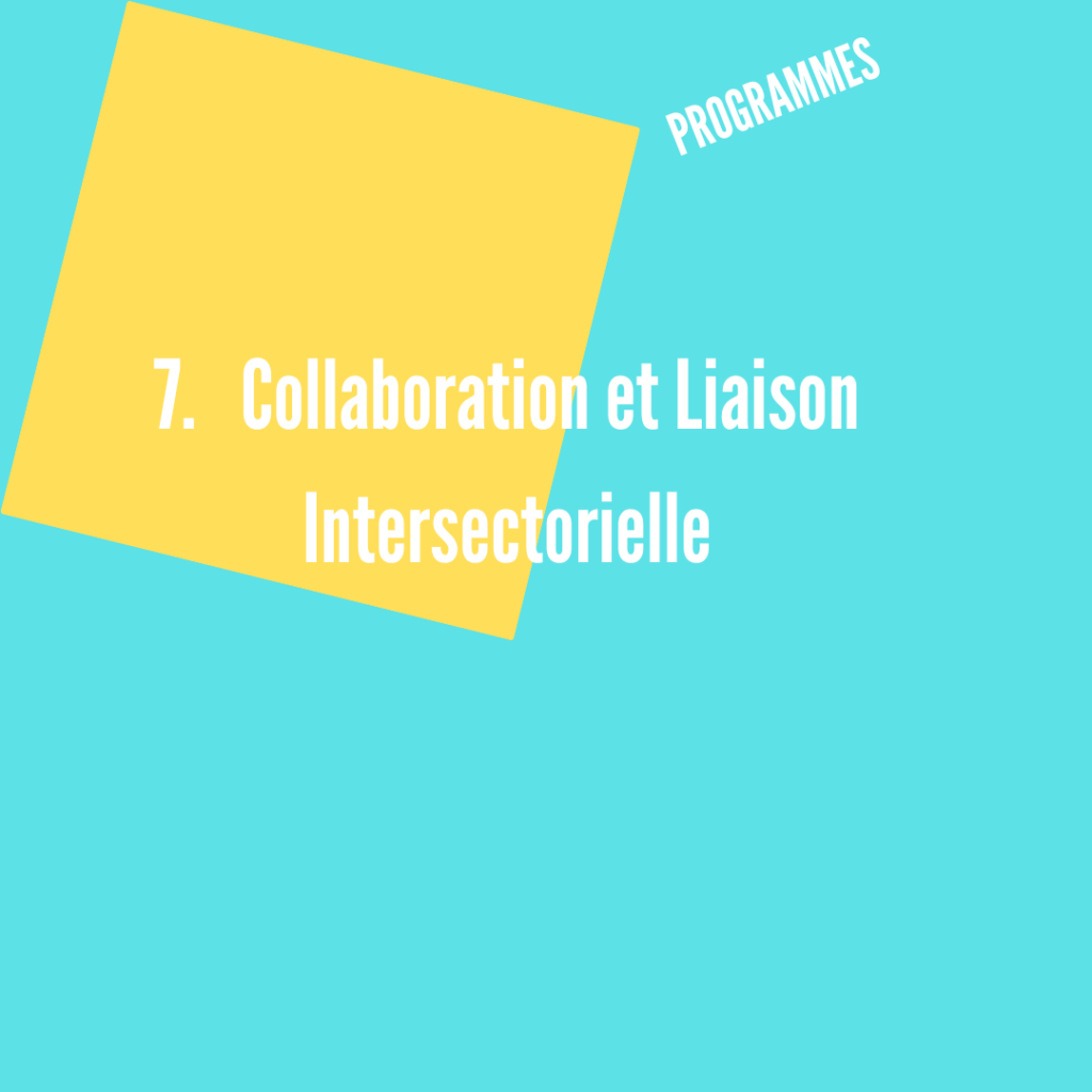 Collaboration et Liaison Intersectorielle - Réseau Matilda