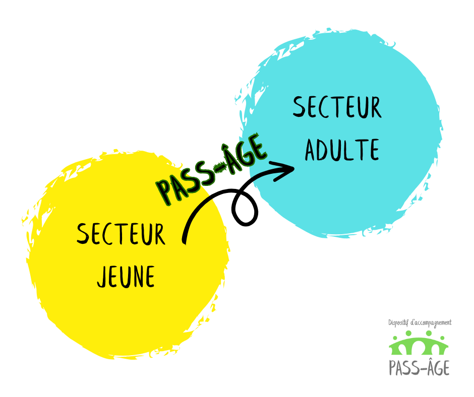 Pass-âge est un dispositif d’accompagnement intersectoriel à destination des jeunes (16-23 ans) présentant une vulnérabilité psychique et qui vise à garantir la continuité de l’aide et/ou des soins lors de la transition du secteur jeunesse vers le secteur adulte.